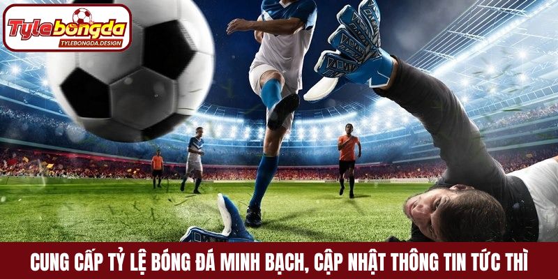 Cung cấp tỷ lệ bóng đá minh bạch, cập nhật thông tin tức thì