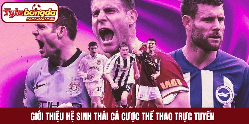 Giới thiệu hệ sinh thái cá cược thể thao trực tuyến