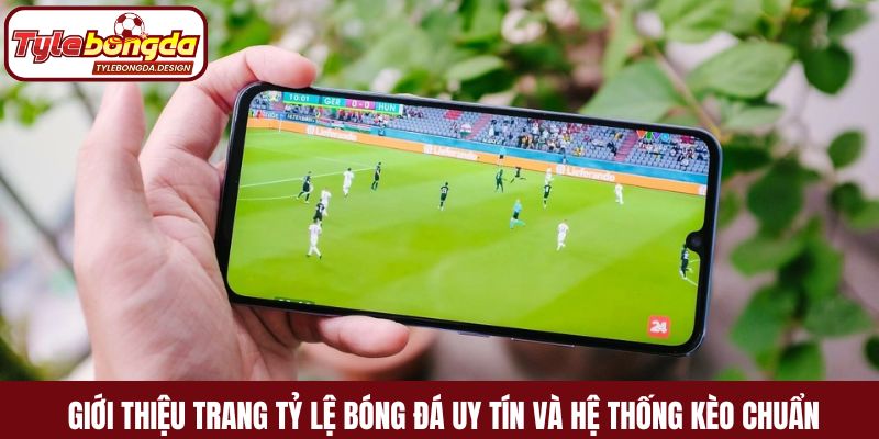 Giới thiệu trang tỷ lệ bóng đá uy tín và hệ thống kèo chuẩn