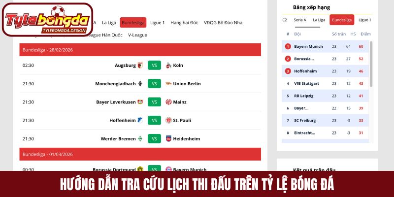 Hướng dẫn tra cứu lịch thi đấu trên tỷ lệ bóng đá