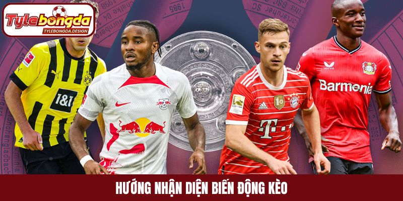 Hướng nhận diện biến động kèo