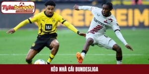 kèo nhà cái Bundesliga