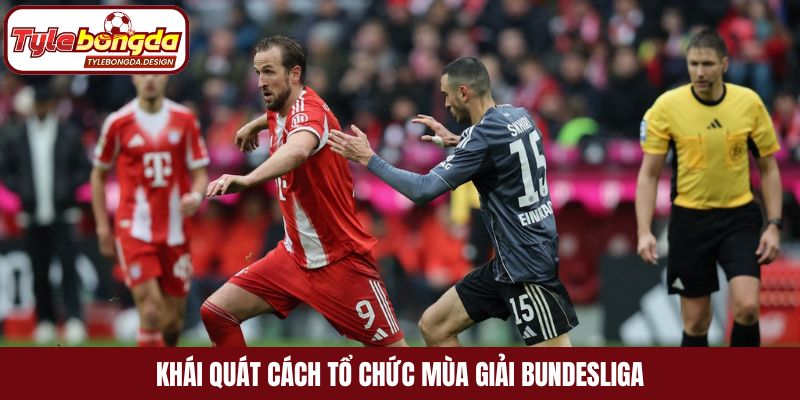 Khái quát cách tổ chức mùa giải Bundesliga