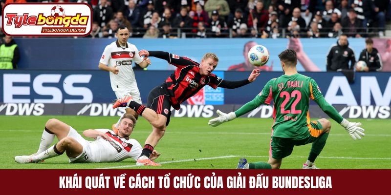 Khái quát về cách tổ chức của giải đấu Bundesliga
