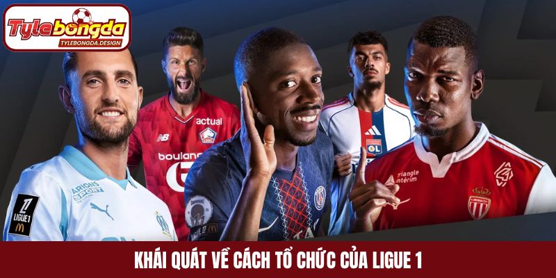Khái quát về cách tổ chức của Ligue 1