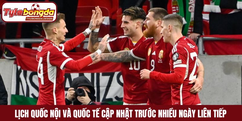 Lịch quốc nội và quốc tế cập nhật trước nhiều ngày liên tiếp