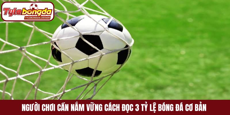 Người chơi cần nắm vững cách đọc 3 tỷ lệ bóng đá cơ bản