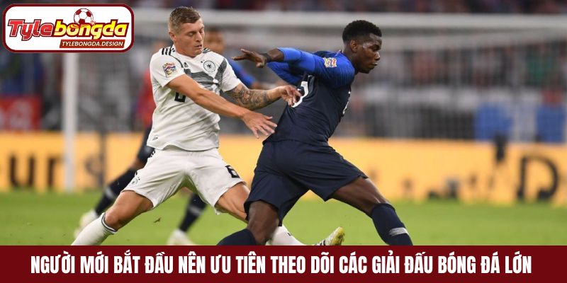 Người mới bắt đầu nên ưu tiên theo dõi các giải đấu bóng đá lớn