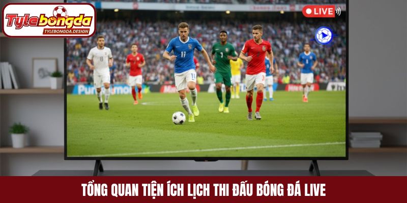Tổng quan tiện ích lịch thi đấu bóng đá live