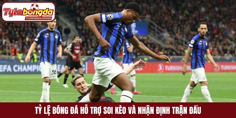 Tỷ lệ bóng đá hỗ trợ soi kèo và nhận định trận đấu