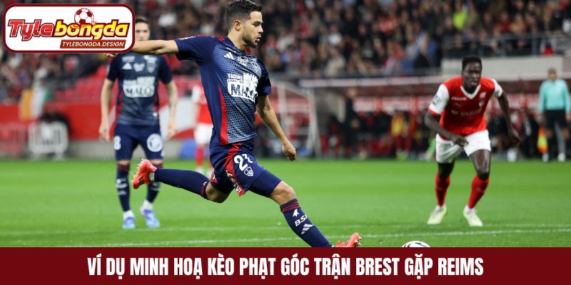 Ví dụ minh hoạ kèo phạt góc trận Brest gặp Reims