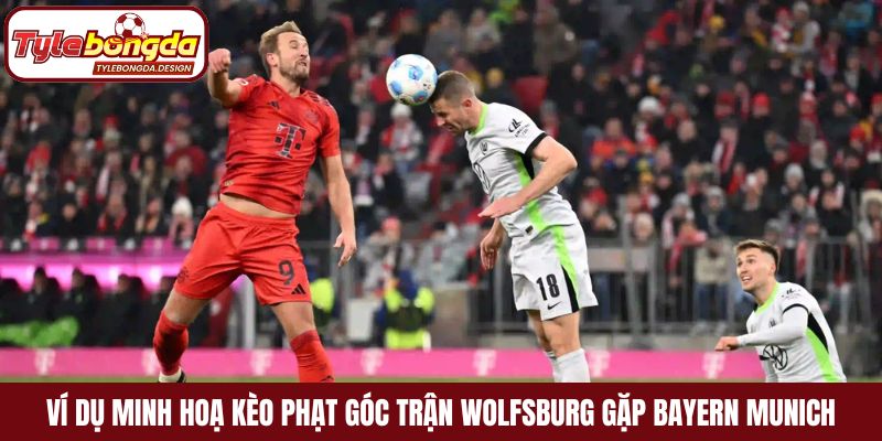 Ví dụ minh hoạ kèo phạt góc trận Wolfsburg gặp Bayern Munich